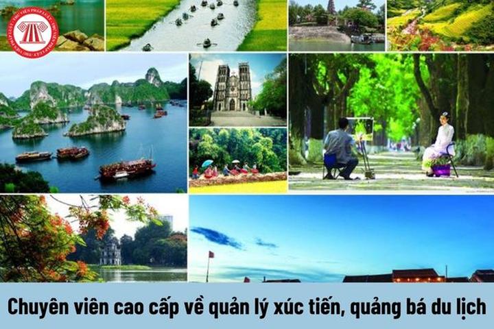 Tại sao nên chọn IVF? IVF là một phương pháp điều trị hiếm muộn hiệu quả cho các