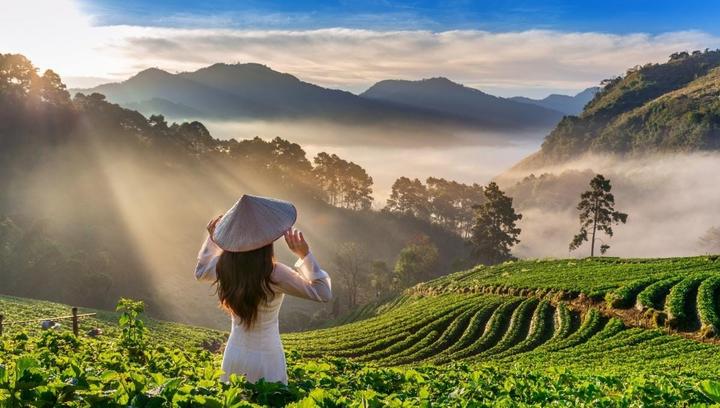 Xu hướng Angela Phương Trinh dẫn đầu: Hotspot Matrix tiết lộ bí quyết video viral