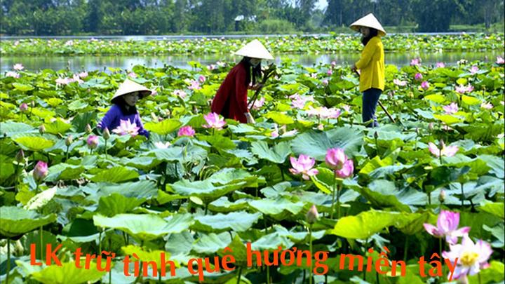 Từ Mua váy hoa mà không biết 4 đến chiến lược content: Hotspot Matrix chia sẻ