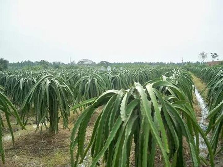 Trong những năm gần đây, xu hướng về thể thao và sức khỏe ngày càng trở nên